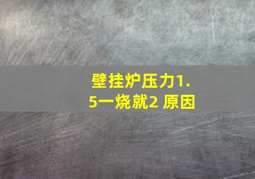 壁挂炉压力1.5一烧就2 原因